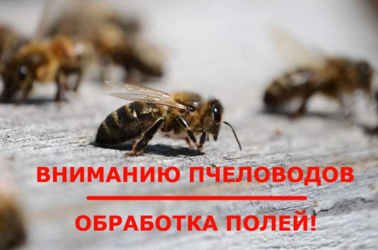 Уведомление об обработке поля агрохимикатами. Уведомление об обработке поля агрохимикатами.